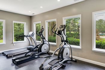 Fitness Area with Treadmill and Ellipticals